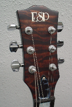 パニはげ ESP INORAN ILP-00 DRAGON パニはげ ESP INORAN ILP-00 DRAGON Electric Guitar ESP Inoran